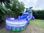 Purple Rain w/ Pool