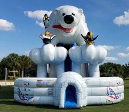 Polar Bear Plunge Slide