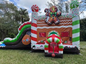 5 in 1 Gingerbread Combo